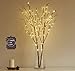 Algopix Similar Product 6 - Hairui Lighted Brown Branches Battery