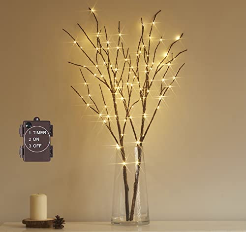 Algopix Similar Product 12 - Hairui Lighted Brown Branches Battery