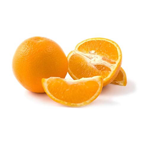 Algopix Similar Product 17 - Orange Cara Cara Bag Conventional 48