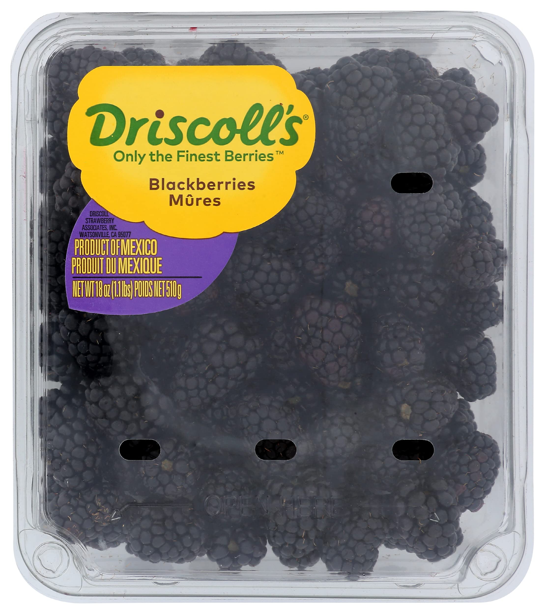 Algopix Similar Product 11 - Driscoll Blackberries, 18 OZ