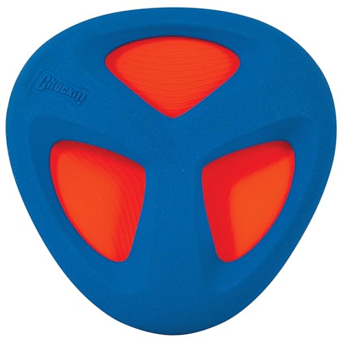 Algopix Similar Product 16 - ChuckIt! Fetch Flight Dog Toy