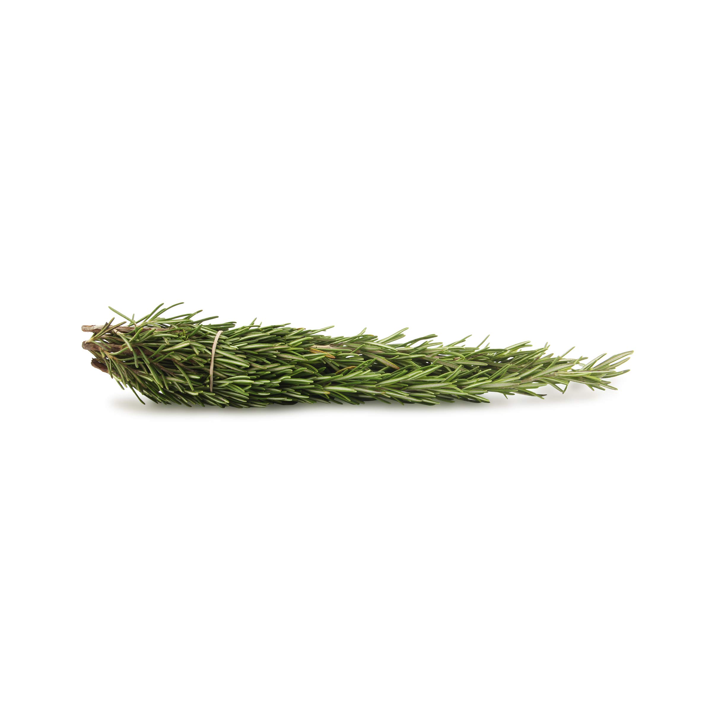 Algopix Similar Product 8 - MEYER FARMS Organic Rosemary, 0.75 OZ
