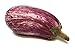 Algopix Similar Product 6 - Organic Graffiti Eggplant, One Medium