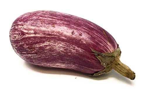 Algopix Similar Product 3 - Organic Graffiti Eggplant, One Medium