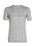 Algopix Similar Product 4 - Icebreaker Merino Mens Tech Lite Short