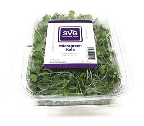 Algopix Similar Product 16 - Strong Vertical Gardens Microgreens
