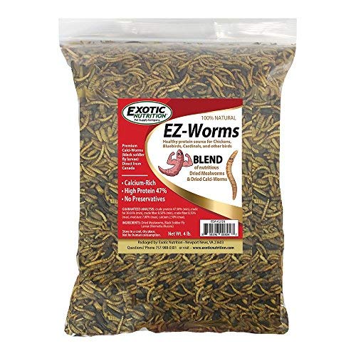 Algopix Similar Product 10 - Exotic Nutrition EZ-Worms (4 lb.)