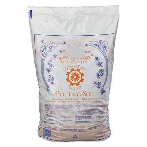 Algopix Similar Product 7 - Floral Acc Gc Container Blend