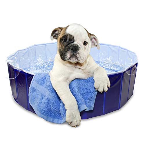Algopix Similar Product 10 - MiMu Pet Swimming Pool Collapsible