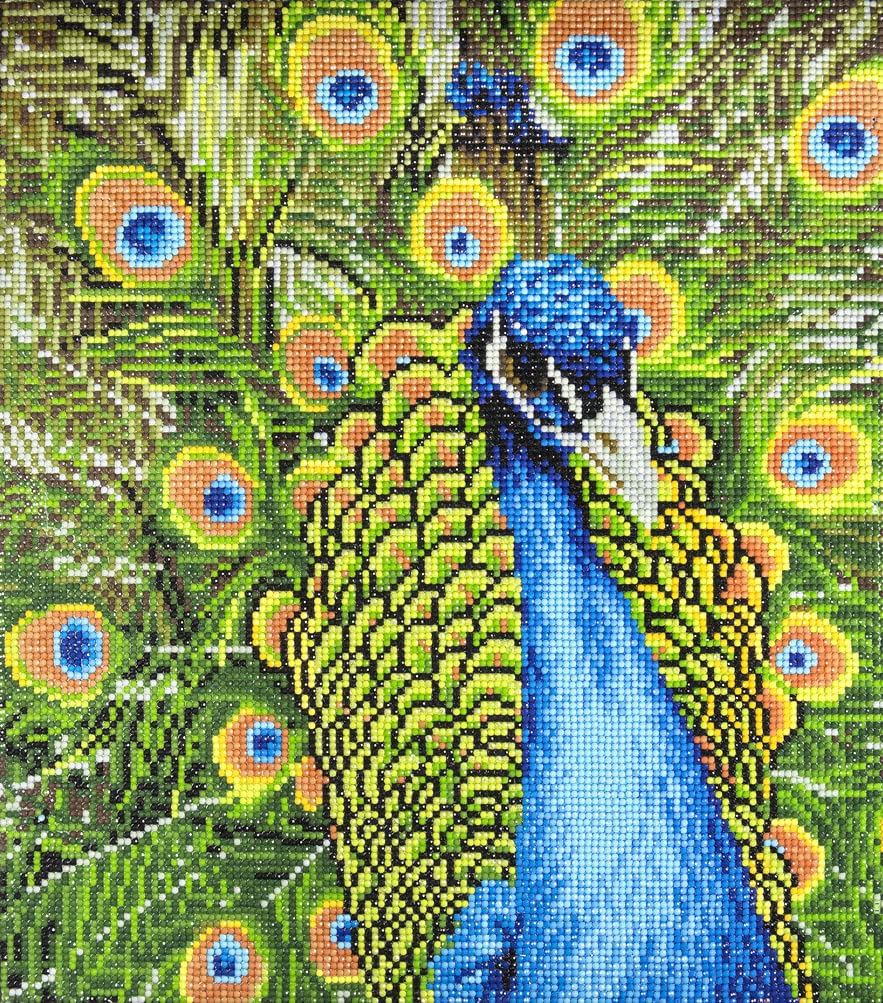 Algopix Similar Product 8 - DIAMOND ART BY LEISURE ARTS Diamond