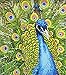 Algopix Similar Product 9 - DIAMOND ART BY LEISURE ARTS Diamond