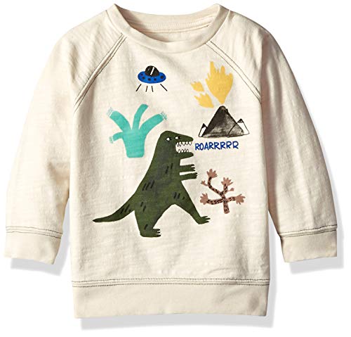 Algopix Similar Product 20 - Gymboree Baby Boys Long Sleeve Pullover