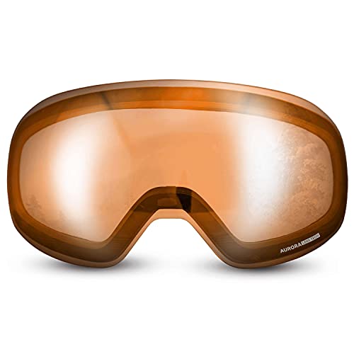 Algopix Similar Product 10 - WildHorn Outfitters Roca Ski Goggles