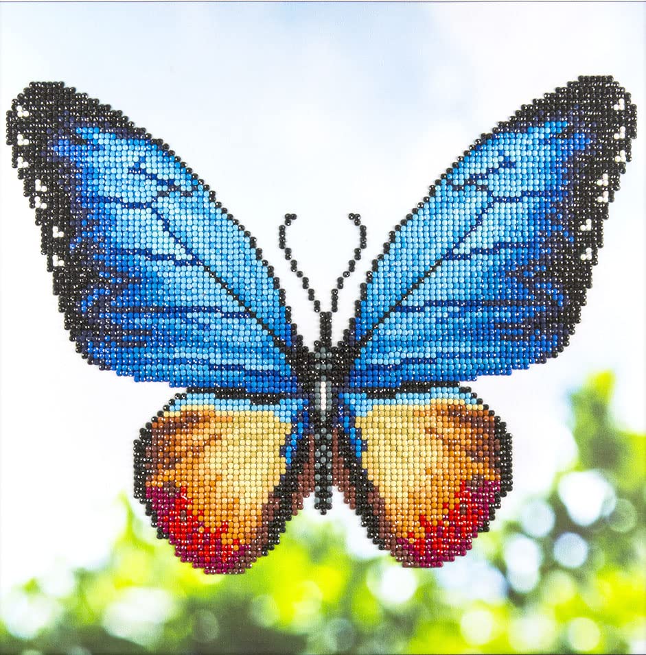Algopix Similar Product 12 - DIAMOND ART BY LEISURE ARTS Diamond