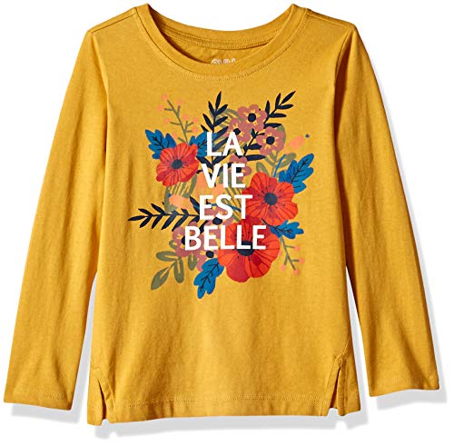 Algopix Similar Product 2 - Gymboree Girls Big Long Sleeve Hoodie