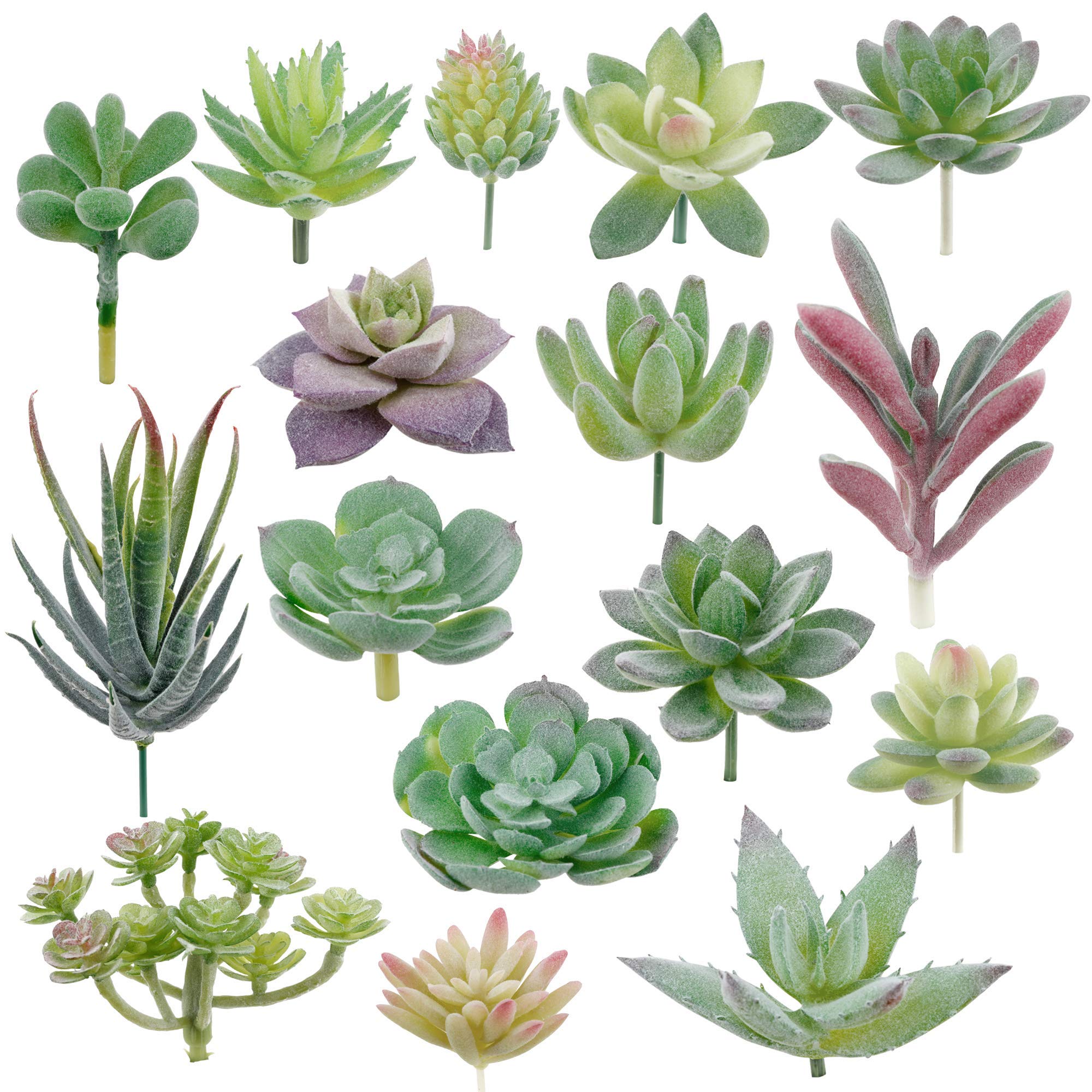 Algopix Similar Product 8 - Augshy Artificial Succulents 16 Pack