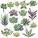Algopix Similar Product 6 - Augshy Artificial Succulents 16 Pack