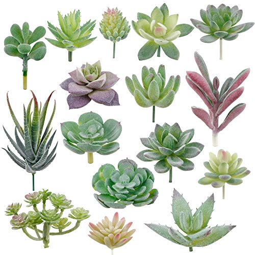Algopix Similar Product 10 - Augshy Artificial Succulents 16 Pack