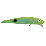 Algopix Similar Product 7 - Bay Rat Lures 25946 Short Shallow 35