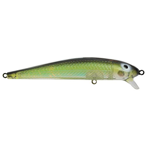 Algopix Similar Product 6 - Bay Rat Lures 25953 Short Shallow Ridin
