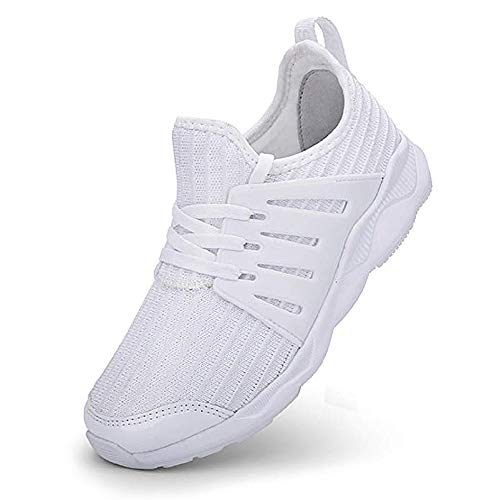 Algopix Similar Product 6 -