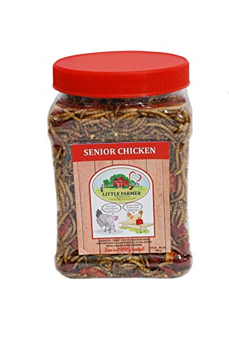Algopix Similar Product 20 - LITTLE FARMER PRODUCTS Senior Chicken 