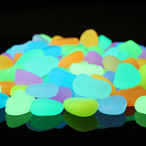 Algopix Similar Product 2 - Glow in The Dark Fish Tank Aquarium