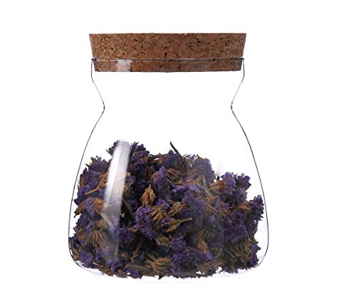 Algopix Similar Product 20 - Cupwind Glass Food Storage Jar with