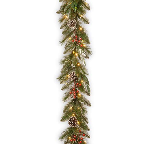 Algopix Similar Product 6 - National Tree Company PreLit