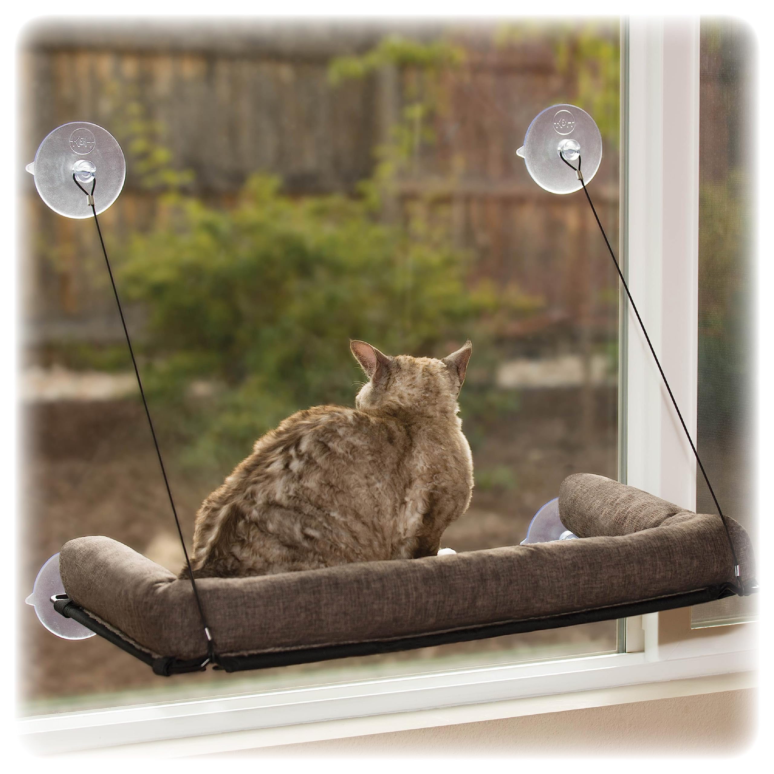Algopix Similar Product 11 - KH Pet Products Deluxe EZ Mount Kitty