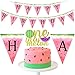 Algopix Similar Product 20 - Watermelon 1st Birthday Decorations 