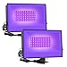 Algopix Similar Product 20 - Onforu 2 Pack 30W LED Black Lights