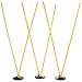 Algopix Similar Product 10 - Crown Sporting Goods 6 Agility Poles