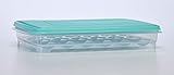 Algopix Similar Product 15 - Egg Holder for Refrigerator  Deviled