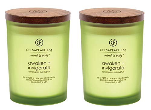 Algopix Similar Product 19 - Chesapeake Bay Candle Scented Candles