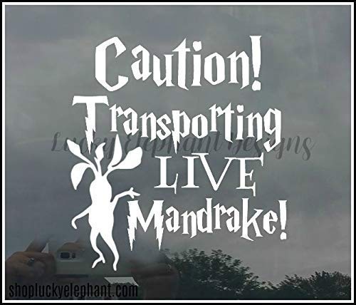 Algopix Similar Product 6 - Transporting Live Mandrake Car Decal 
