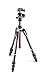 Algopix Similar Product 3 - Manfrotto Tripod Befree Advance Carbon