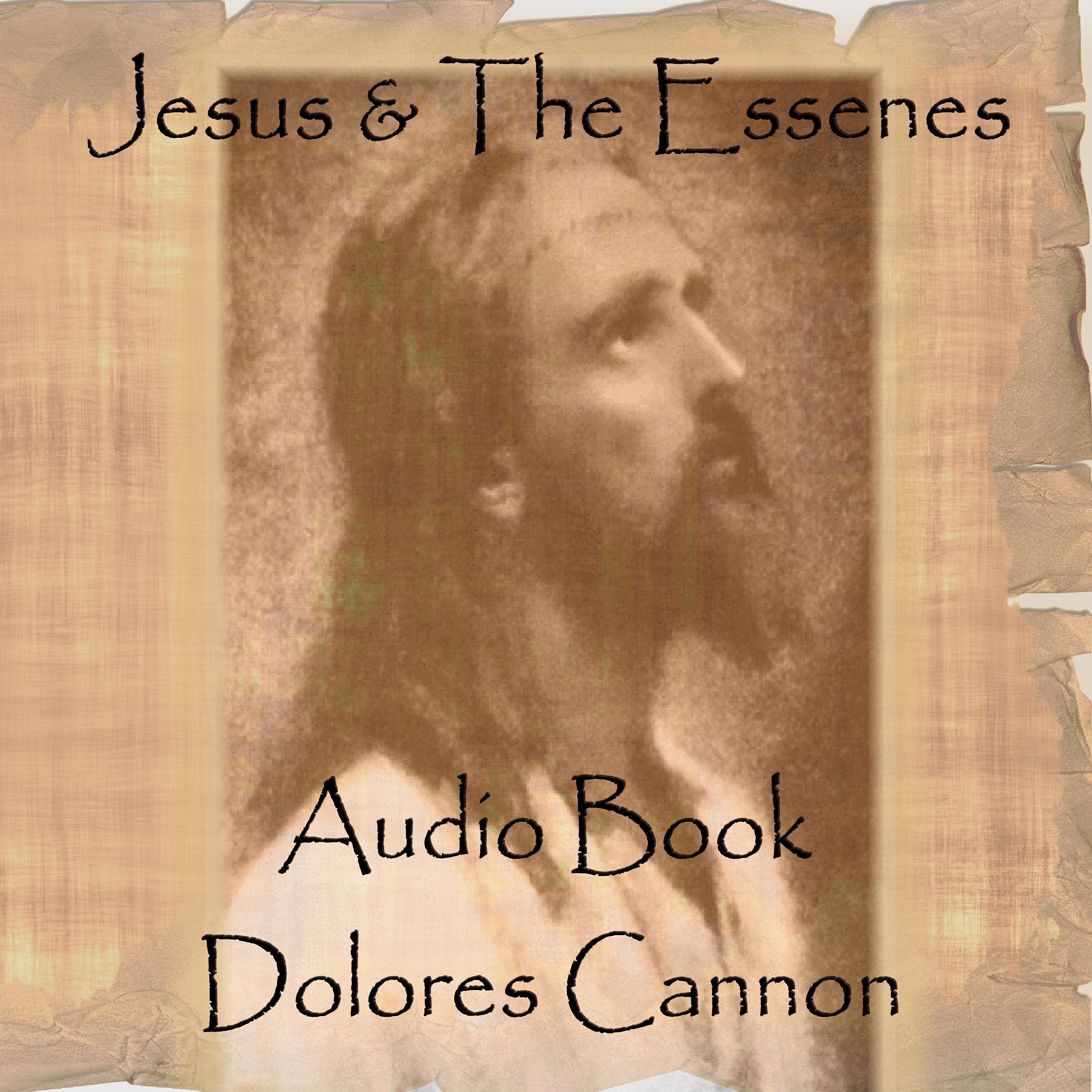 Algopix Similar Product 13 - Jesus and the Essenes