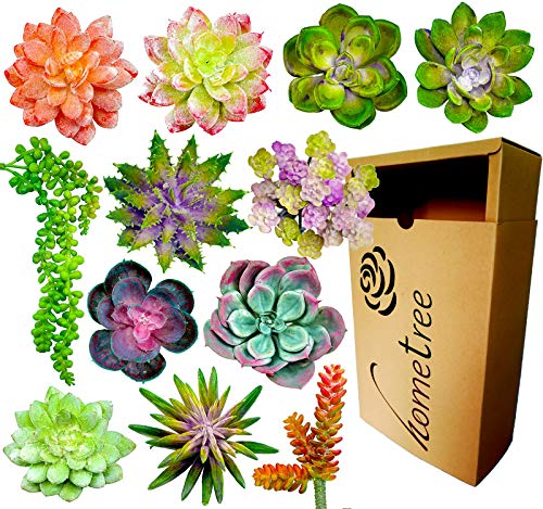 Algopix Similar Product 11 - Fake Succulent Plants Realistic 12