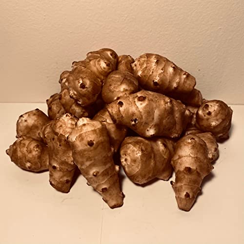 Algopix Similar Product 6 - Sunchokes Adama Foods  2 12 pounds