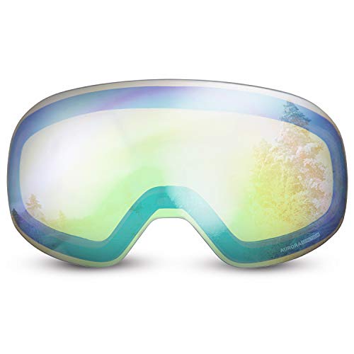 Algopix Similar Product 6 - WildHorn Outfitters Roca Ski Goggles
