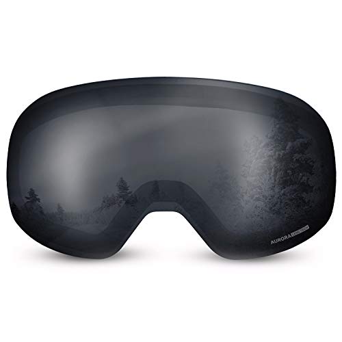 Algopix Similar Product 5 - WildHorn Outfitters Roca Ski Goggles