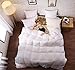 Algopix Similar Product 19 - SLEEP RHYTHM Luxurious Goose Down