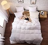Algopix Similar Product 11 - SLEEP RHYTHM Luxurious Goose Down