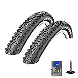 Algopix Similar Product 1 - WAMTHUS 2 x Schwalbe Rapid Rob Bicycle