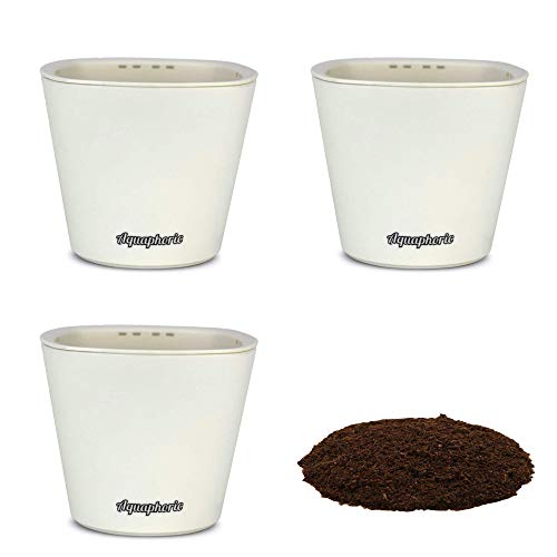 Algopix Similar Product 15 - Window Garden Self Watering Planters 