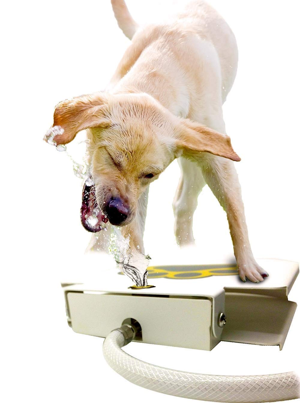 Algopix Similar Product 19 - Dog Water Dispenser Pet Fountain 