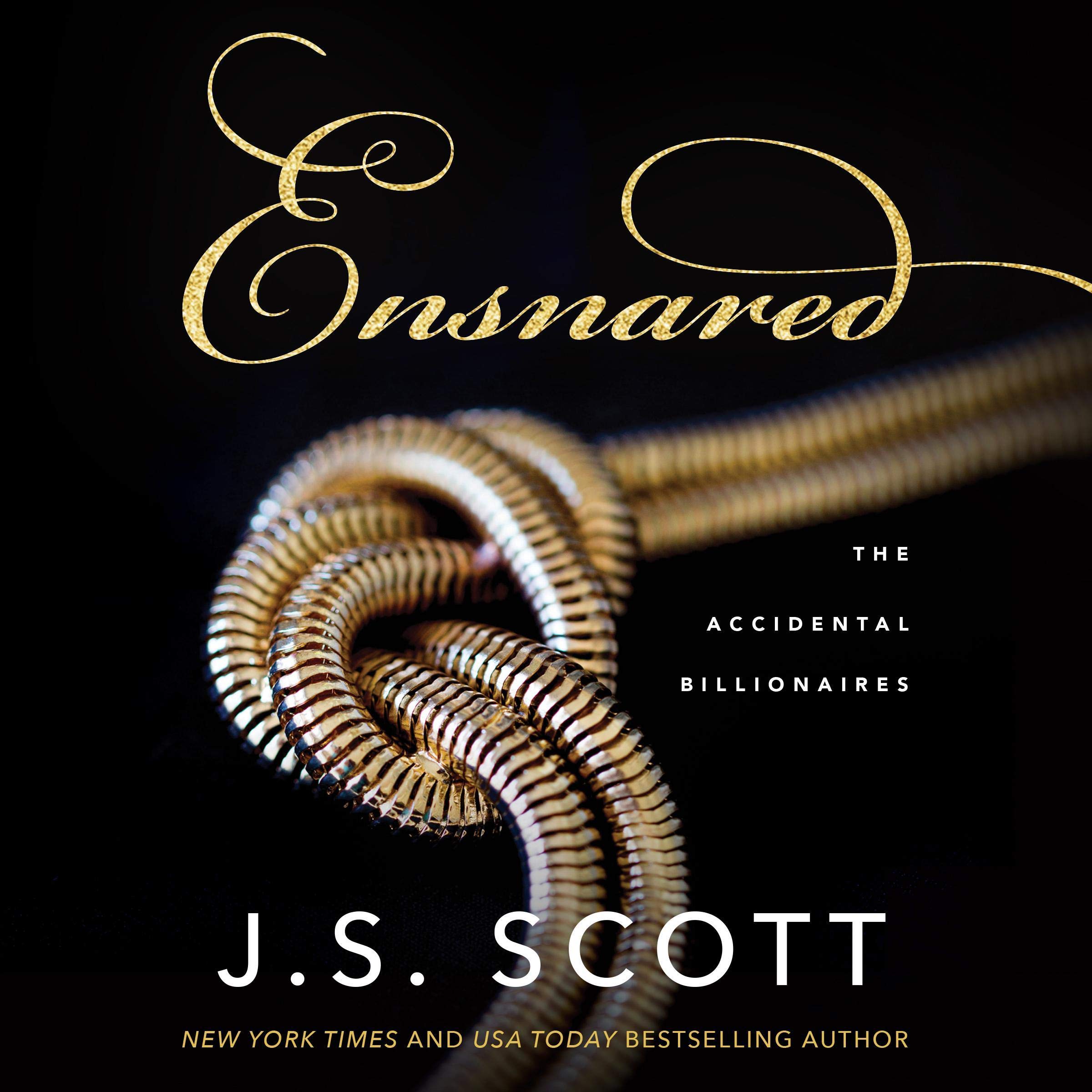Algopix Similar Product 11 - Ensnared The Accidental Billionaires