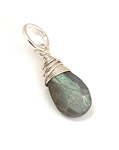 Algopix Similar Product 4 - Labradorite Gemstone Charm for Necklace