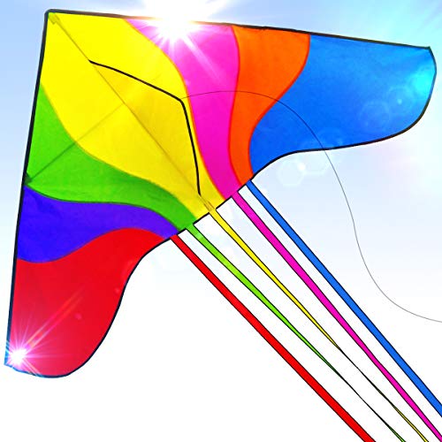 Algopix Similar Product 15 - Easy to Fly Large Nylon Bird Kite for